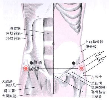 官員穴|醫砭 » 經穴庫 » 關元